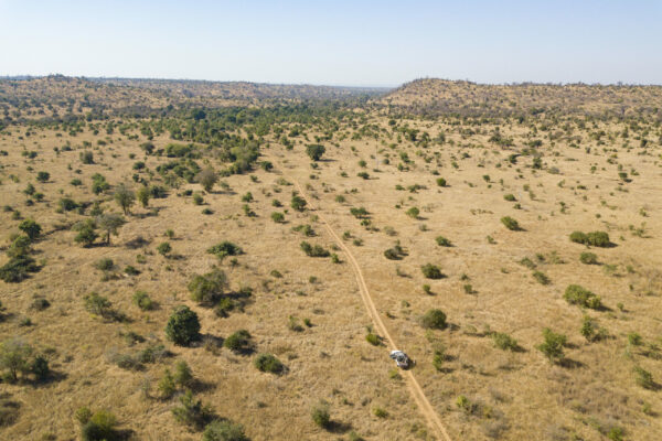 The landscape in Gonarezhou NP photographed with a drone. Zimbabwe. © Daniel Rosengren